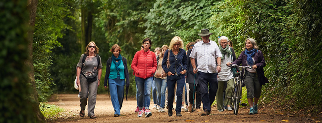 Waldspaziergang bei einer Sprachreise nach Jersey Eine Gruppe von Wanderern geht gemeinsam durch einen Wald bei einem Englisch-Sprachkurs in Jersey