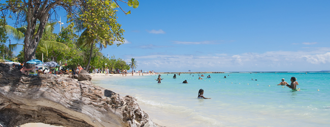 Menschen geniessen das klare, türkisfarbene Wasser an einem tropischen Strand in Sainte Anne auf Guadeloupe während einer LISA! Sprachreise