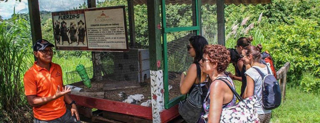 Ein Ranger erklärt weiteren Personen etwas über Tiere in einem Käfig bei einem Ausflug in Panama-Stadt