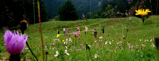 Kinder spielen Volleyball mitten auf einer alpenländischen Wiese in den Bergen mit Wiesenblumen